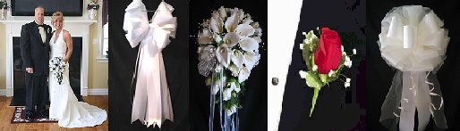 Wedding Bows in All Colors! Decorations for all Occasions!